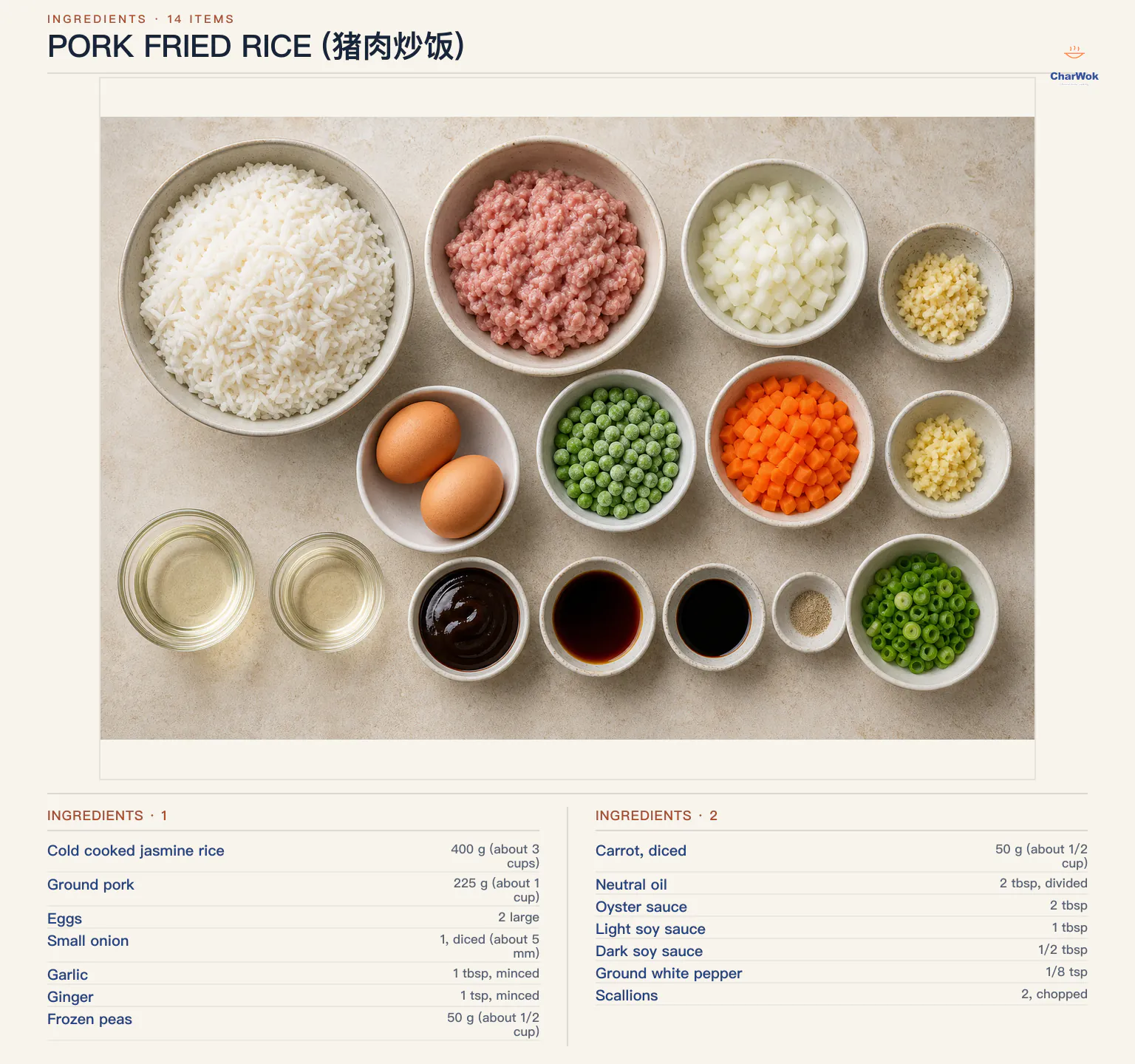 Ingredients for Pork Fried Rice (猪肉炒饭), arranged in a top-down flat lay