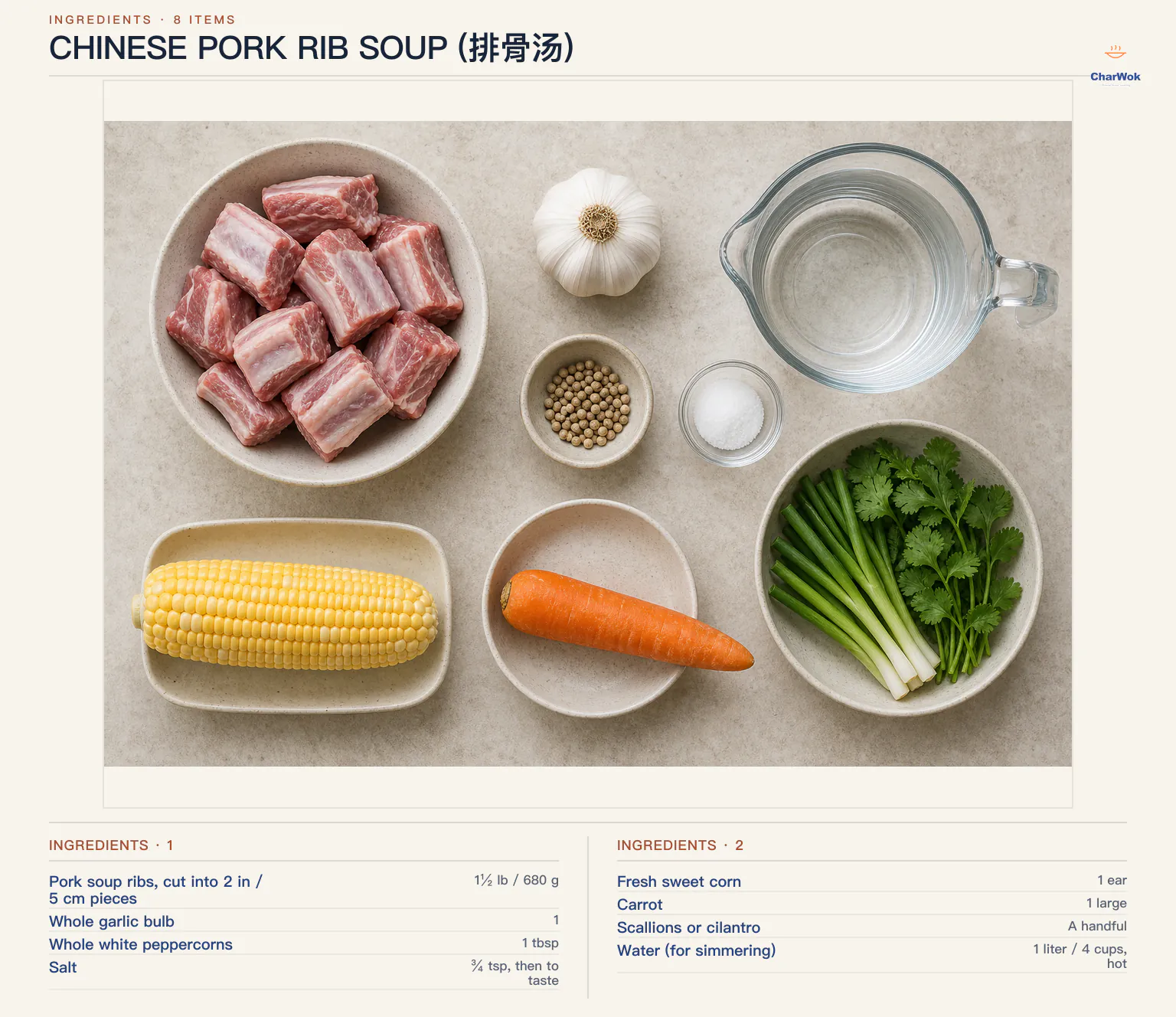 Ingredients for Chinese Pork Rib Soup (排骨汤), arranged in a top-down flat lay
