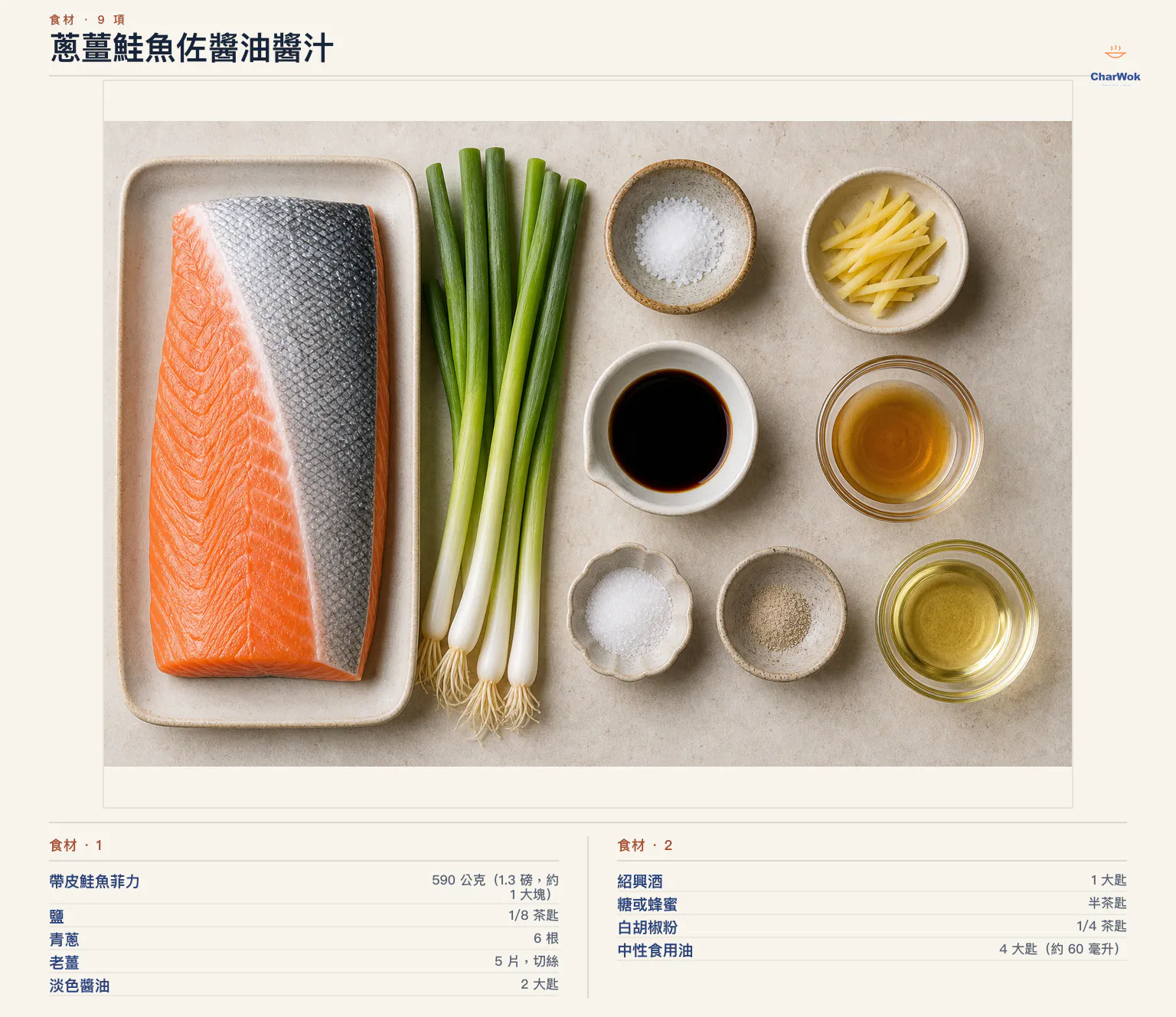 蔥薑鮭魚佐醬油醬汁完整食材俯拍平鋪圖