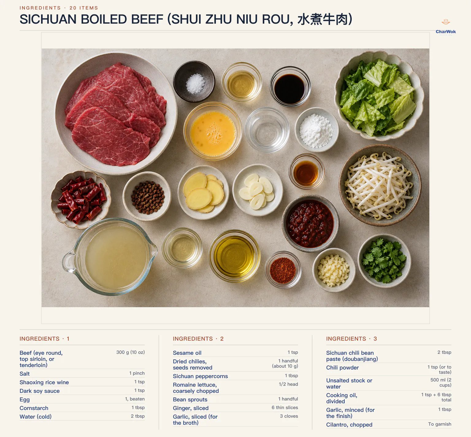 Ingredients for Sichuan boiled beef (Shui Zhu Niu Rou, 水煮牛肉), arranged in a top-down flat lay