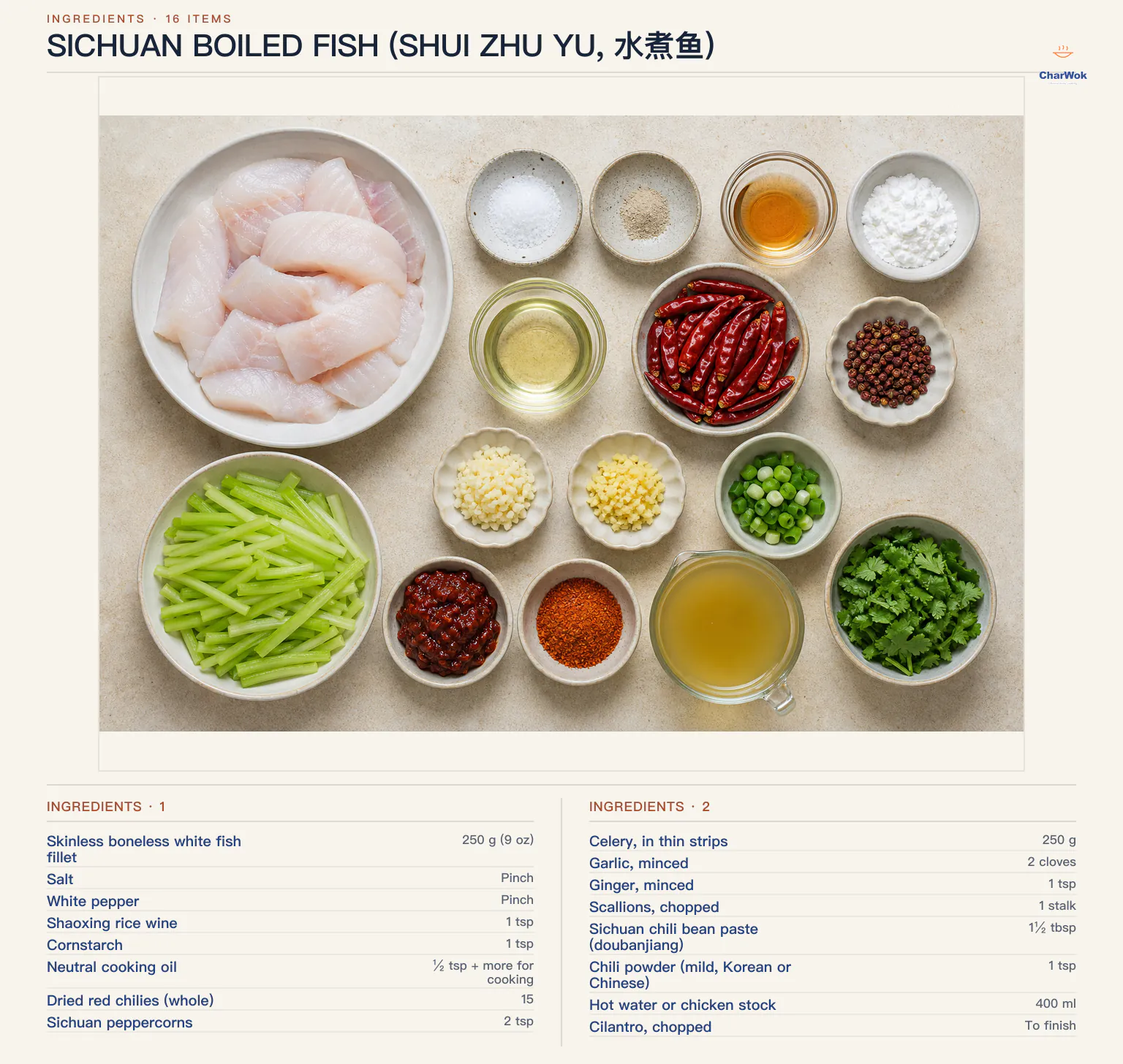 Ingredients for Sichuan boiled fish (Shui Zhu Yu, 水煮鱼), arranged in a top-down flat lay