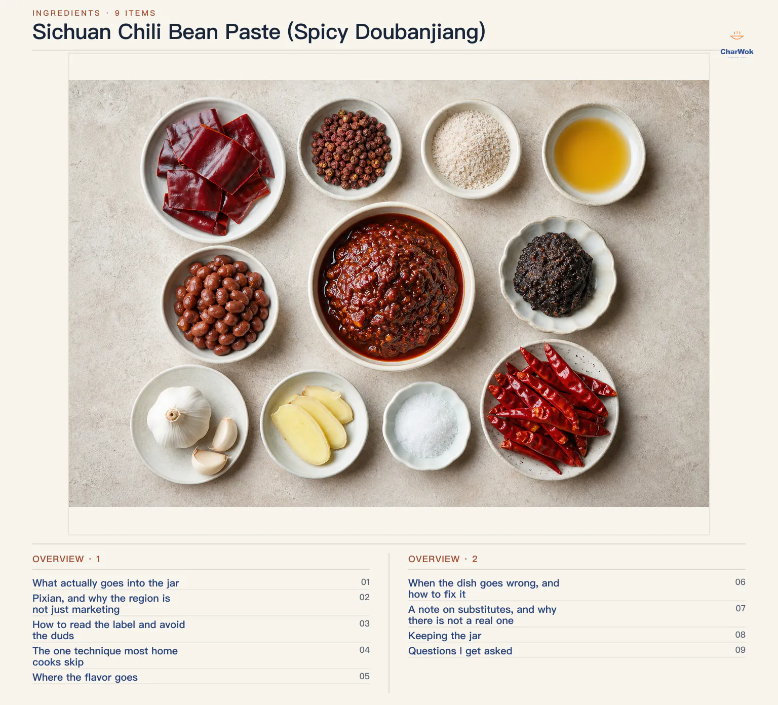 Overview of Sichuan Chili Bean Paste (Spicy Doubanjiang)