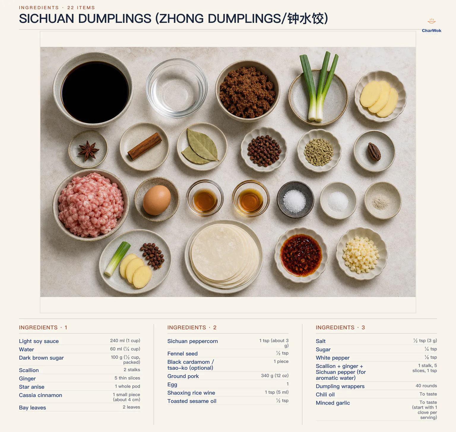 Ingredients for Sichuan Dumplings (Zhong Dumplings/钟水饺), arranged in a top-down flat lay