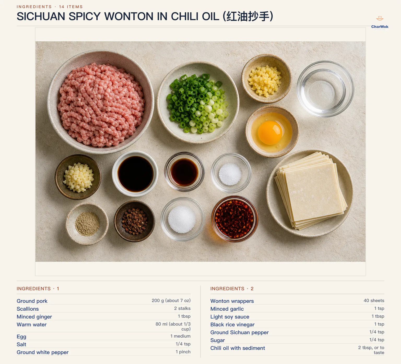 Ingredients for Sichuan Spicy Wonton In Chili Oil (红油抄手), arranged in a top-down flat lay