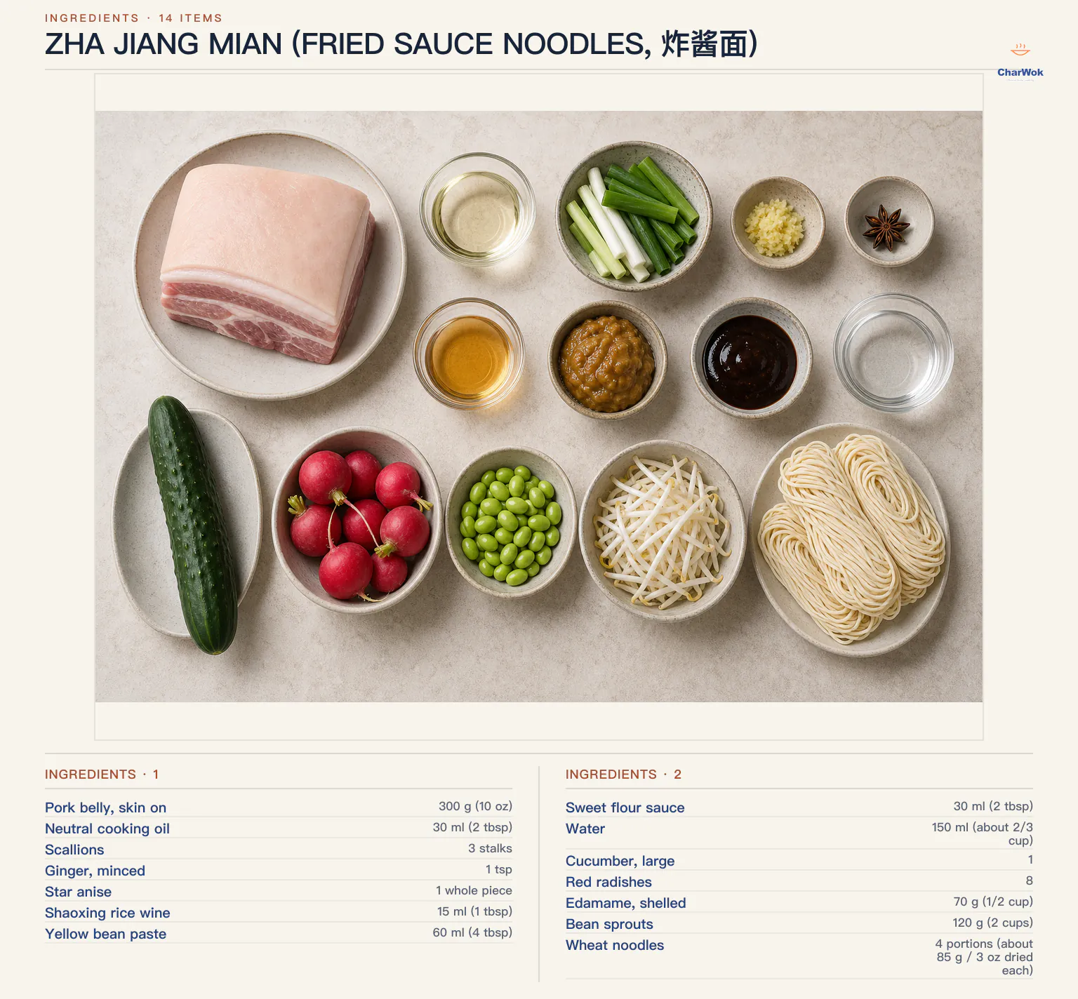 Ingredients for Zha Jiang Mian (Fried Sauce Noodles, 炸酱面), arranged in a top-down flat lay